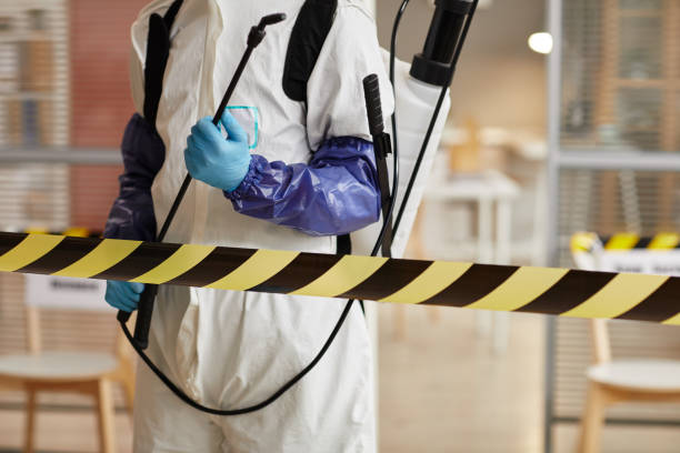 Professional Sewage Cleanup technician working in Rail Road Flat, CA